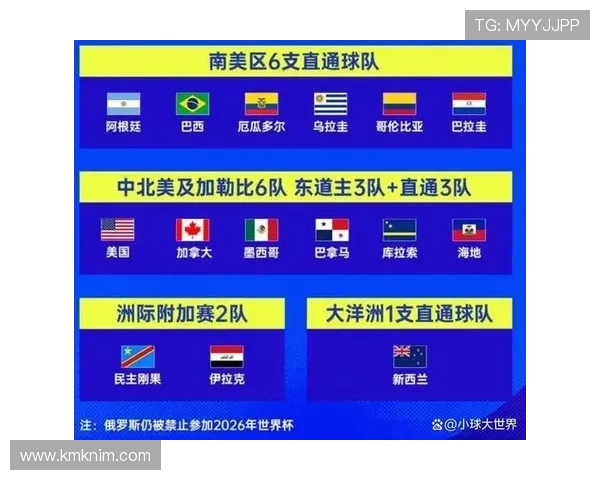 美加墨世界杯亚洲区预选赛印尼队战术分析与关键球员表现总结